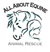 All About Equine Animal Rescue, Inc.