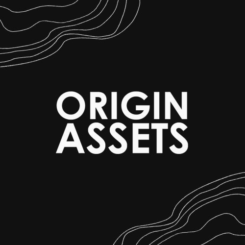 ORIGIN ASSETS LLC